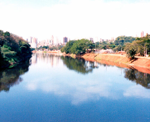 A baixa oxigenação da água está entre as possíveis causas da morte de peixes no Rio Piracicaba notada no dia 2 de janeiro de 2024