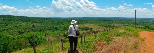 Local de mapeamento em União do Norte, distrito de Peixoto de Azevedo, no Mato Grosso