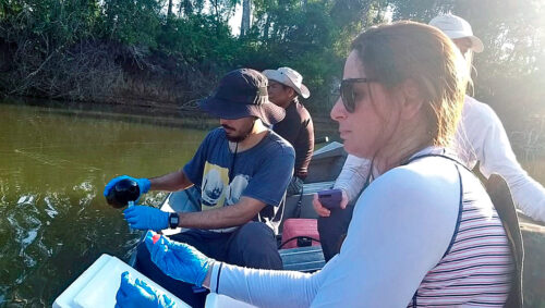 Jornalistas da SEC vão acompanhar pesquisadores no processo de coleta de amostras de água em rio na divisa entre Mato Grosso e Pará