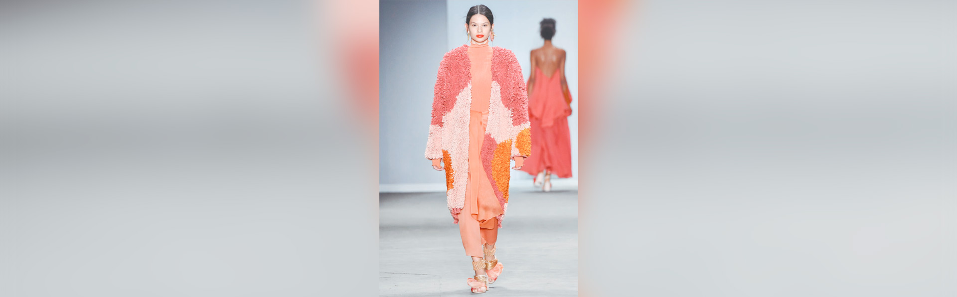 Imagem Desfile SPFW 2019 - Zé Takahashi Agência Fotosite