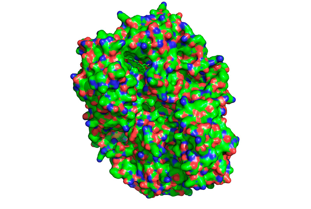 Estrutura tridimensional da enzima ciclooxigenase humana que interage com o ácido acetilsalicílico