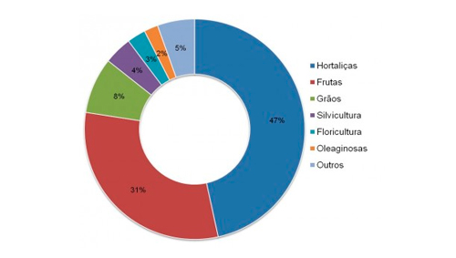 Propriedades orgânicas certificadas por pares apresentam maior diversidade de produtos