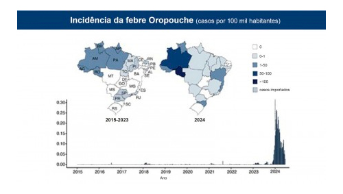 Dados preliminares mostram que patógeno passou por alterações que o tornaram mais agressivo, contribuindo para o ressurgimento no Brasil entre 2023 e 2024