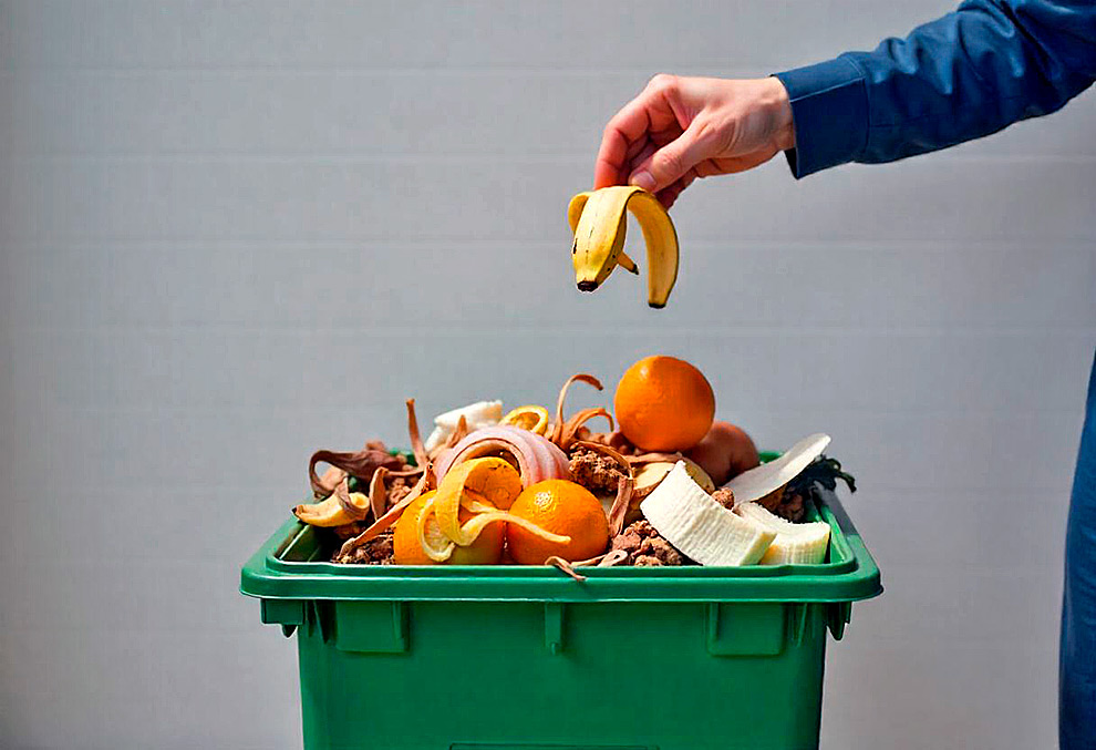 "A Engenharia de Alimentos no combate à fome, desperdício de alimentos, promoção à saúde e mudanças climáticas" é tema de fórum na FEA