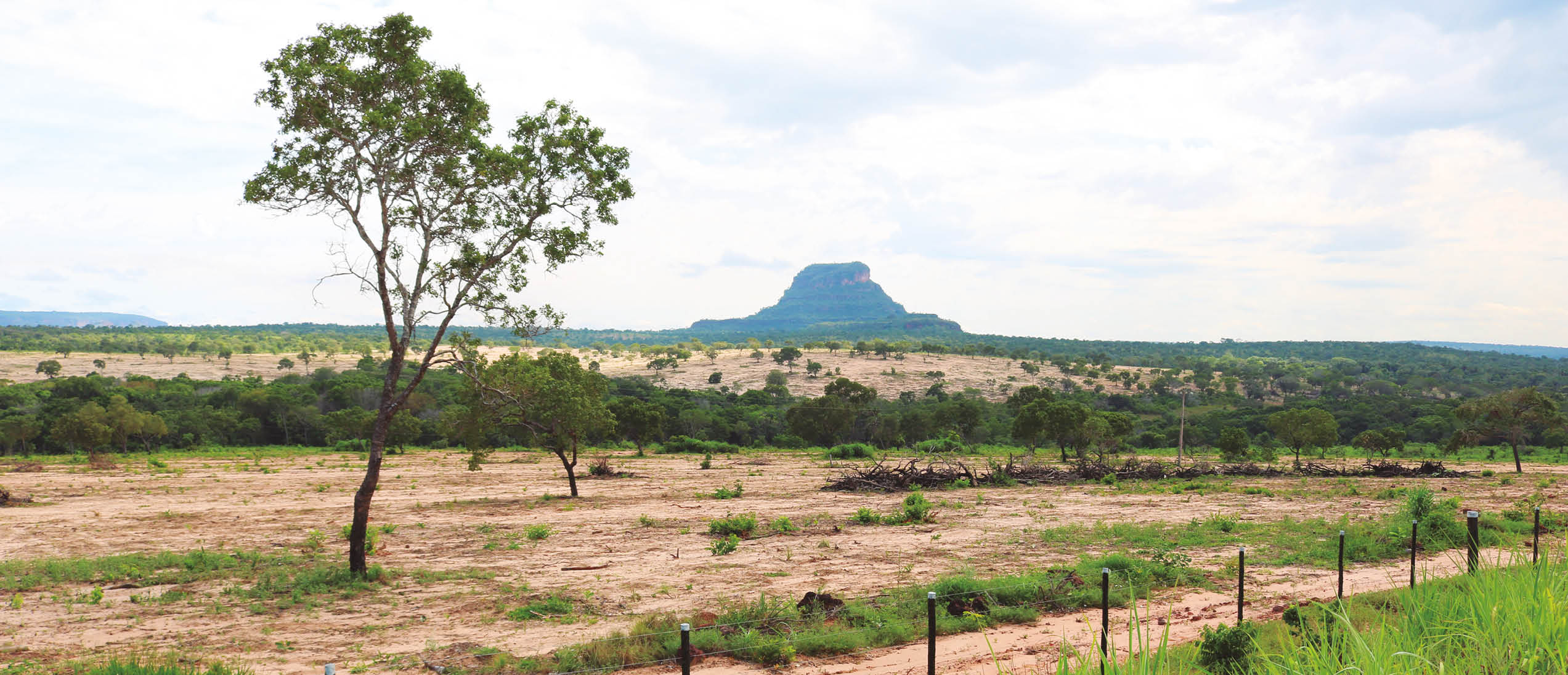 Cerrado