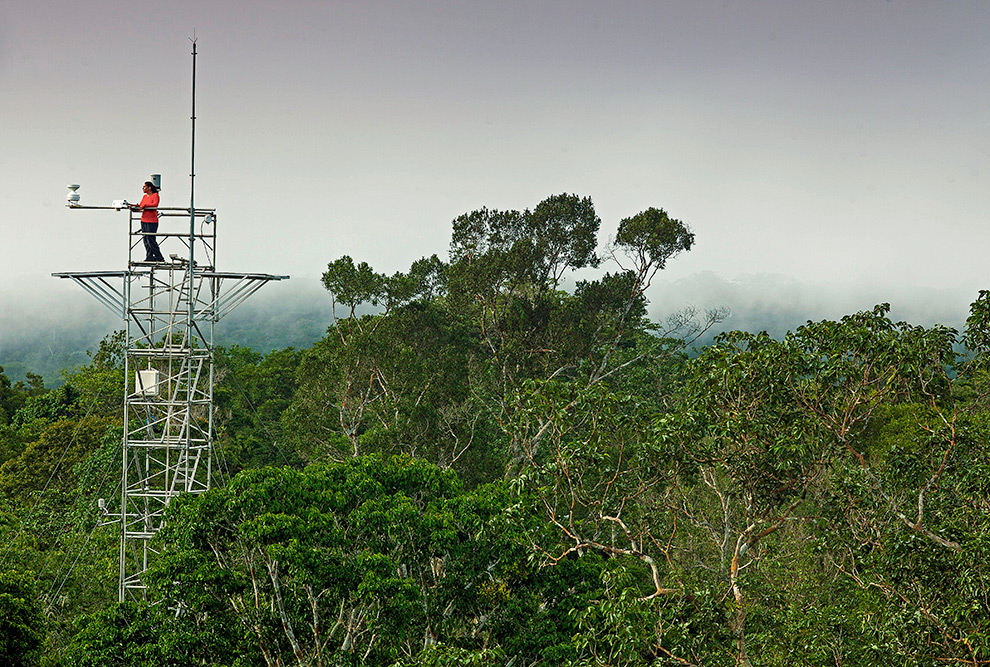 Torres do projeto AmazonFace (Amazônia)