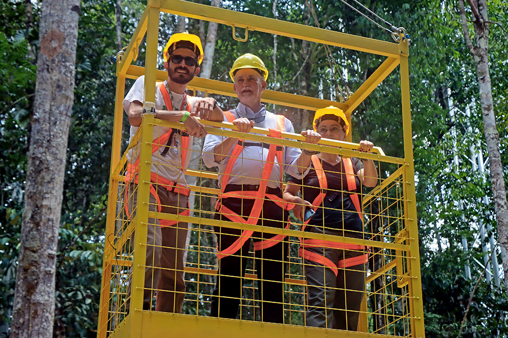 Subida de guindaste a uma das torres instaladas na zona florestal