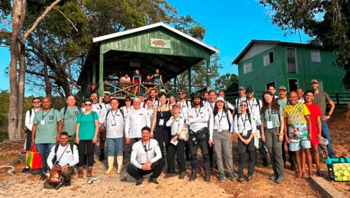 Brazilian Team conquistou a terceira colocação na competição internacional Xprize Rainforest; resultado foi divulgado no dia 15 de novembro