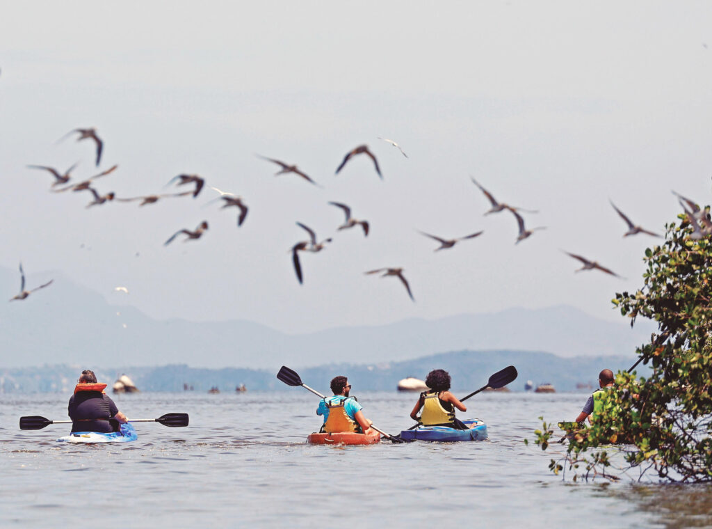 Atividade de ecoturismo em manguezal no Rio Majé, que deságua na Baía da Guanabara: marketing digital usa urgência ambiental para criar estratégias de apelo mercadológico