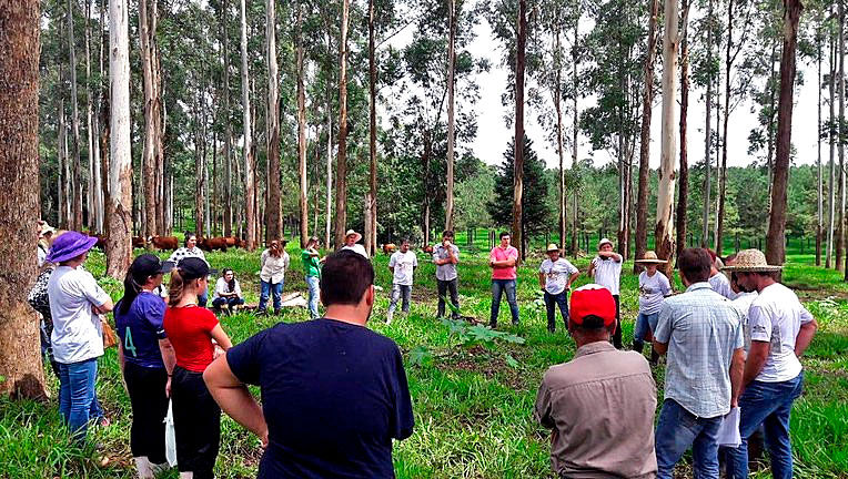 Terra Solidária, projeto de extensão da UFFS no qual Jane Friestino atuou de 2019 a 2021 (Foto: Projeto Terra Solidária)