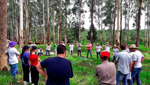 Terra Solidária, projeto de extensão da UFFS no qual Jane Friestino atuou de 2019 a 2021