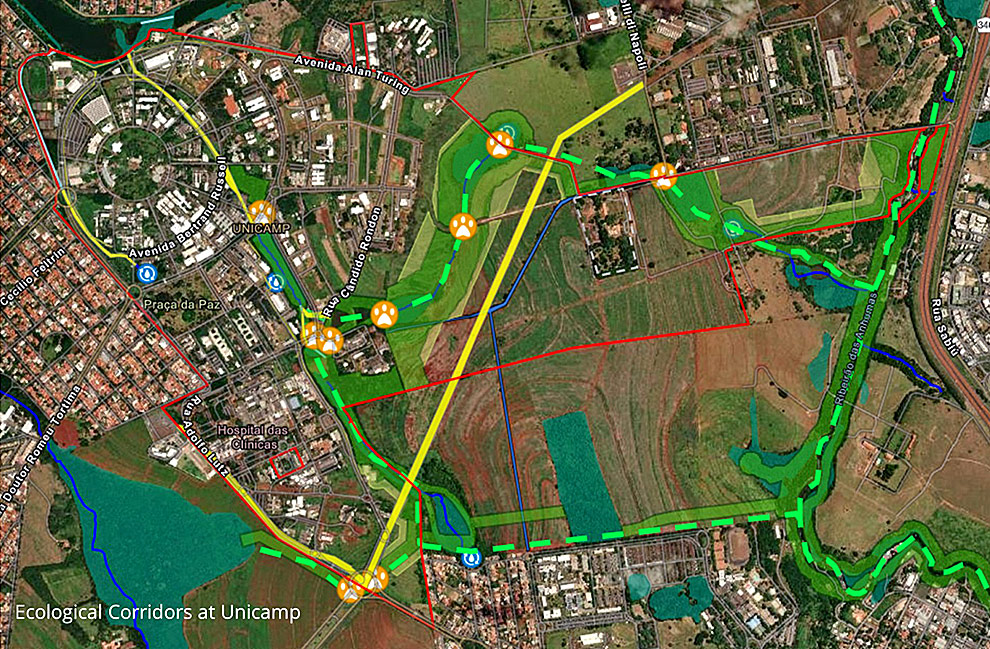 Mapa dos corredores ecológicos (Fonte: Diretoria Executiva de Planejamento Integrado)