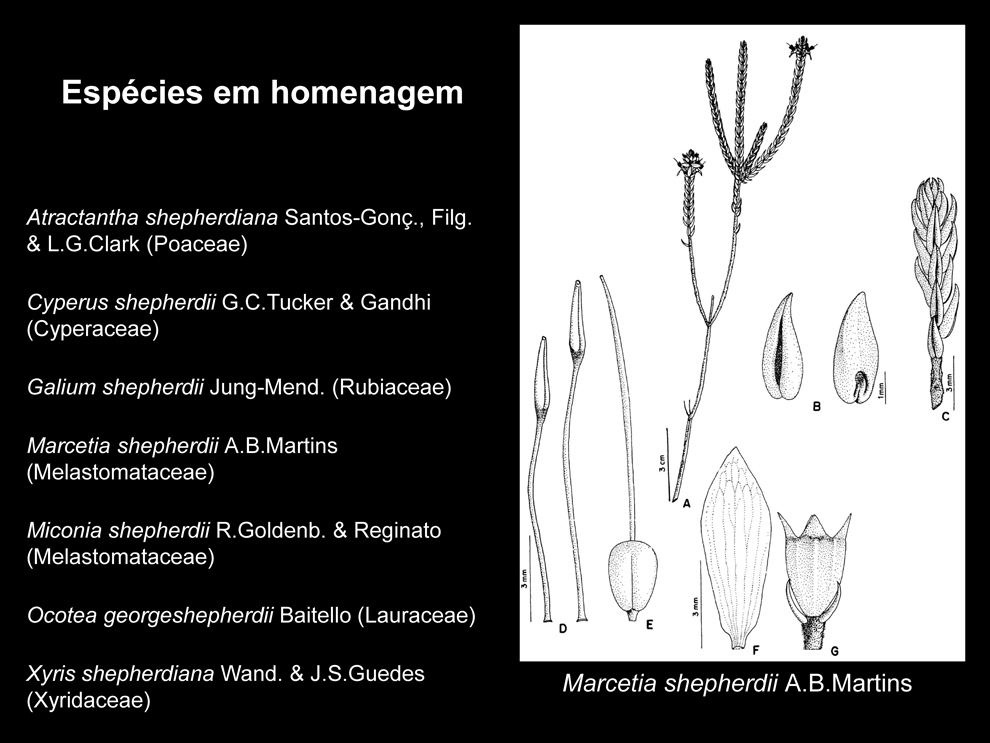 A significativa contribuição do cientista e docente refletiu inclusive no descobrimento de novas espécies de plantas, tendo sete que levam seu nome, uma forma de homenageá-lo