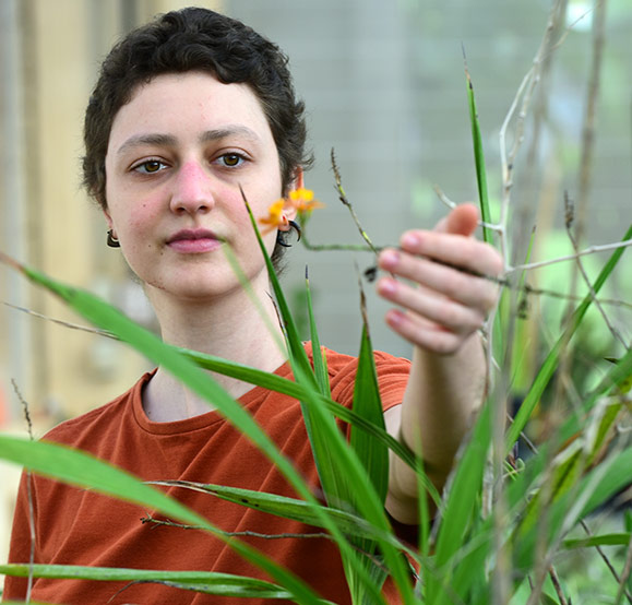 A bióloga Beatriz Lucas Arida, autora do estudo: monitoramento em dois períodos de floração, em anos diferentes