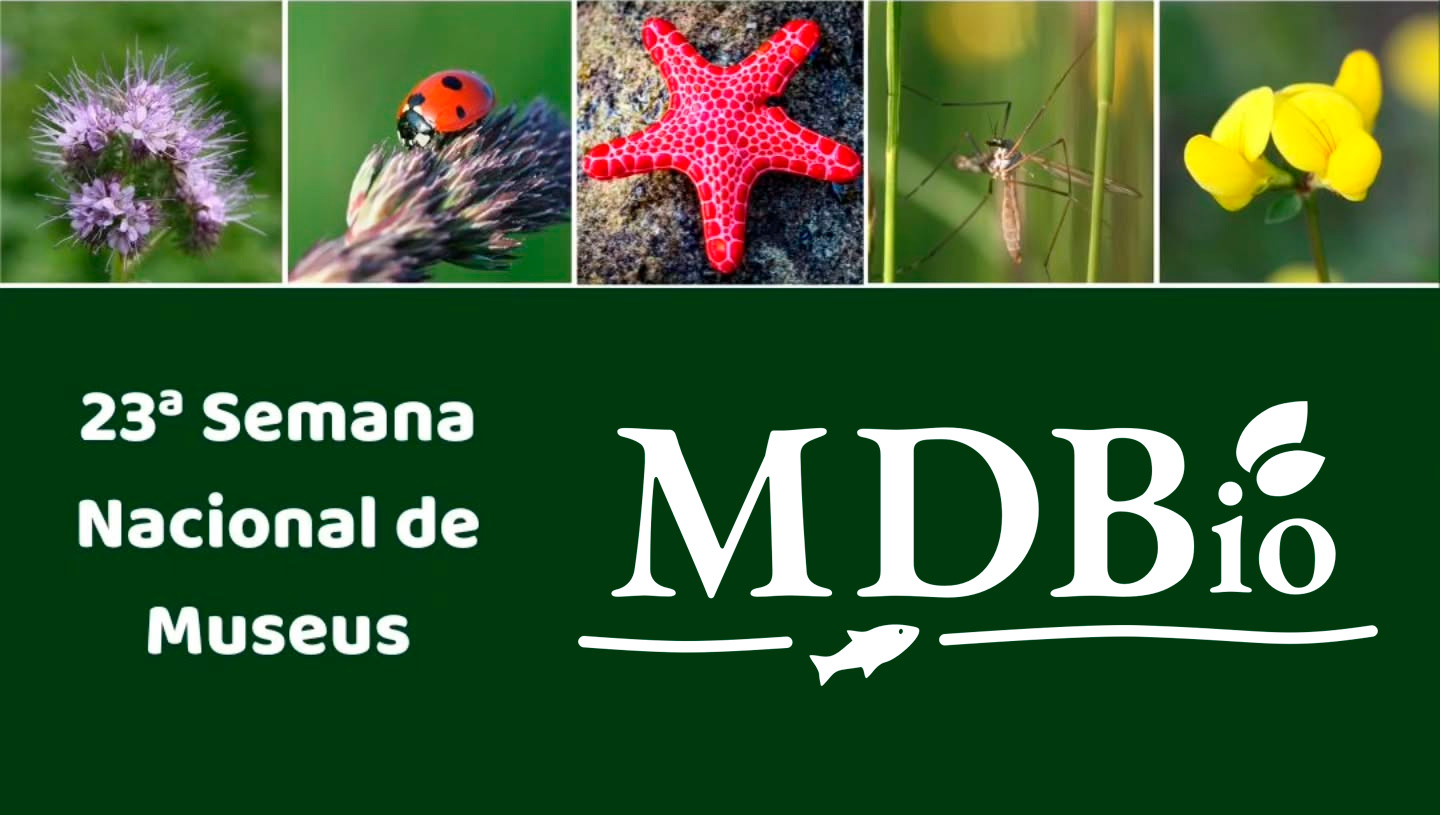 Museu de Diversidade Biológica participa da 23ª Semana Nacional de Museus com diversas oficinas