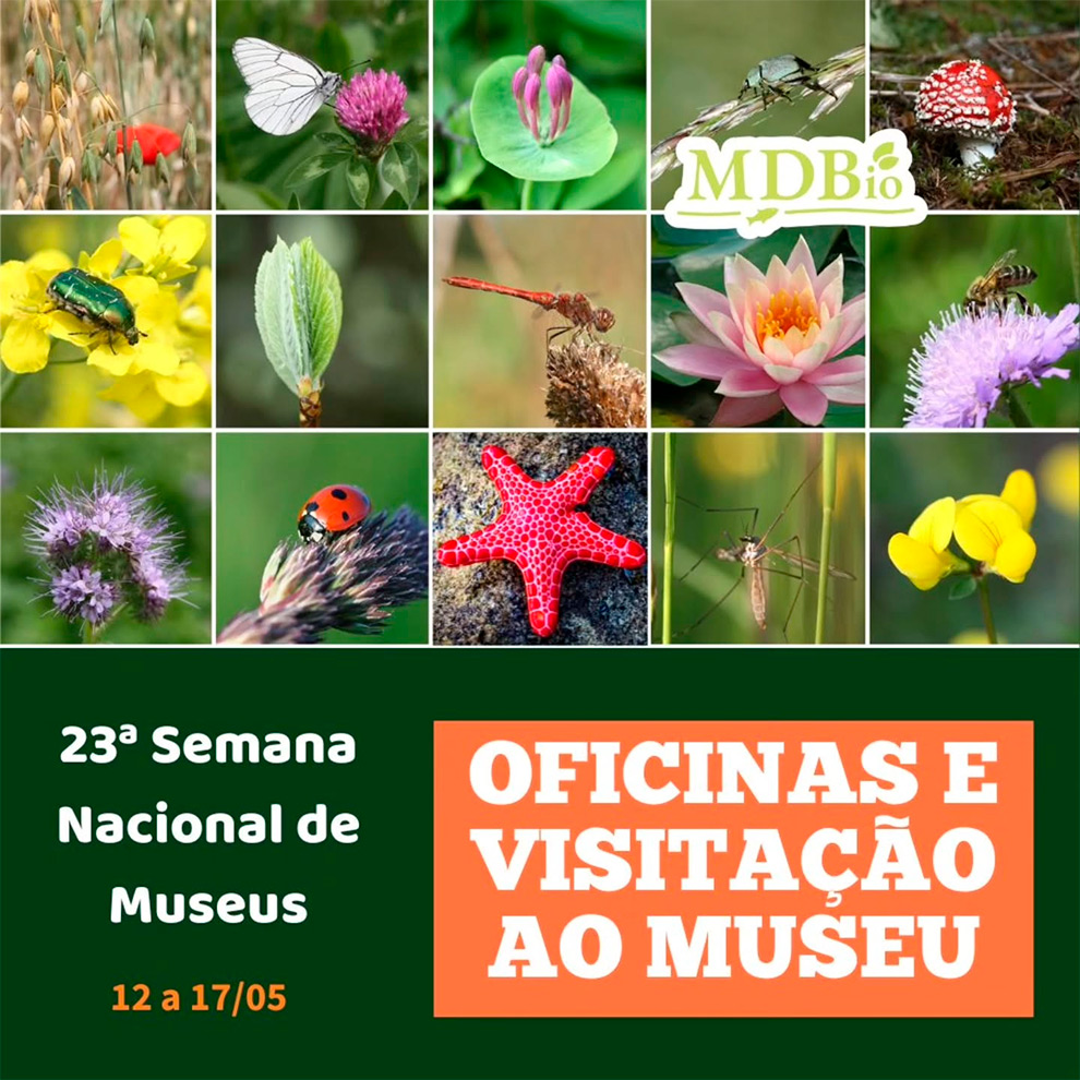 Museu de Diversidade Biológica participa da 23ª Semana Nacional de Museus com diversas oficinas