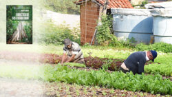 Engenheiro-agrônomo da Unicamp lança livro sobre sustentabilidade
