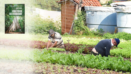 Engenheiro-agrônomo da Unicamp lança livro sobre sustentabilidade