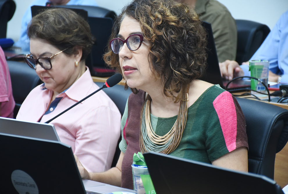 Os professores do IFCH André Kaysel e Andréia Glavão: abordagem transdisciplinar