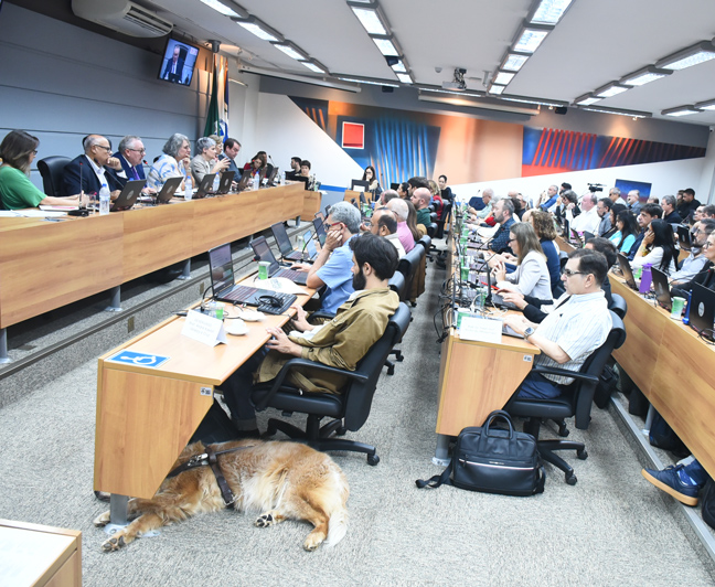 O Conselho Universitário aprovou a concessão por unanimidade