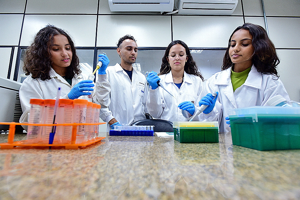 Durante o desenvolvimento do projeto, os estudantes tiveram a oportunidade de conversar com agricultores, empresários e demais integrantes do setor