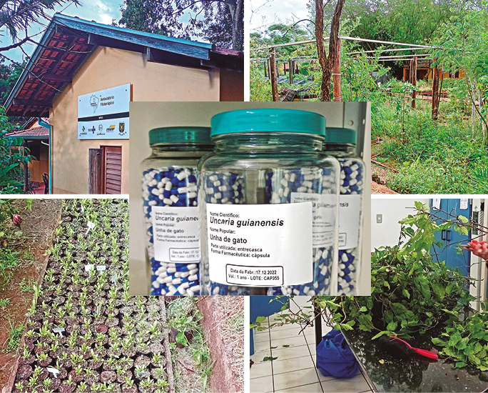 Dependências e fitoterápicos produzidos na Farmácia Viva da cidade de Jardinópolis, no interior de São Paulo: local conta com mudas, viveiros, laboratórios e até ambulatórios