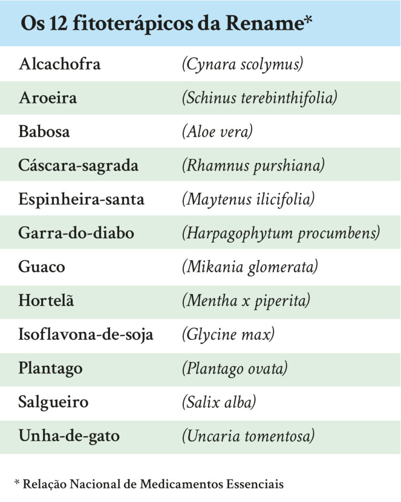 12 fitoterapicos