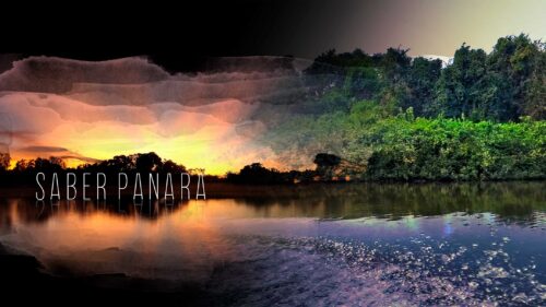 Selo Saber Panará e ao fundo o rio Iriri