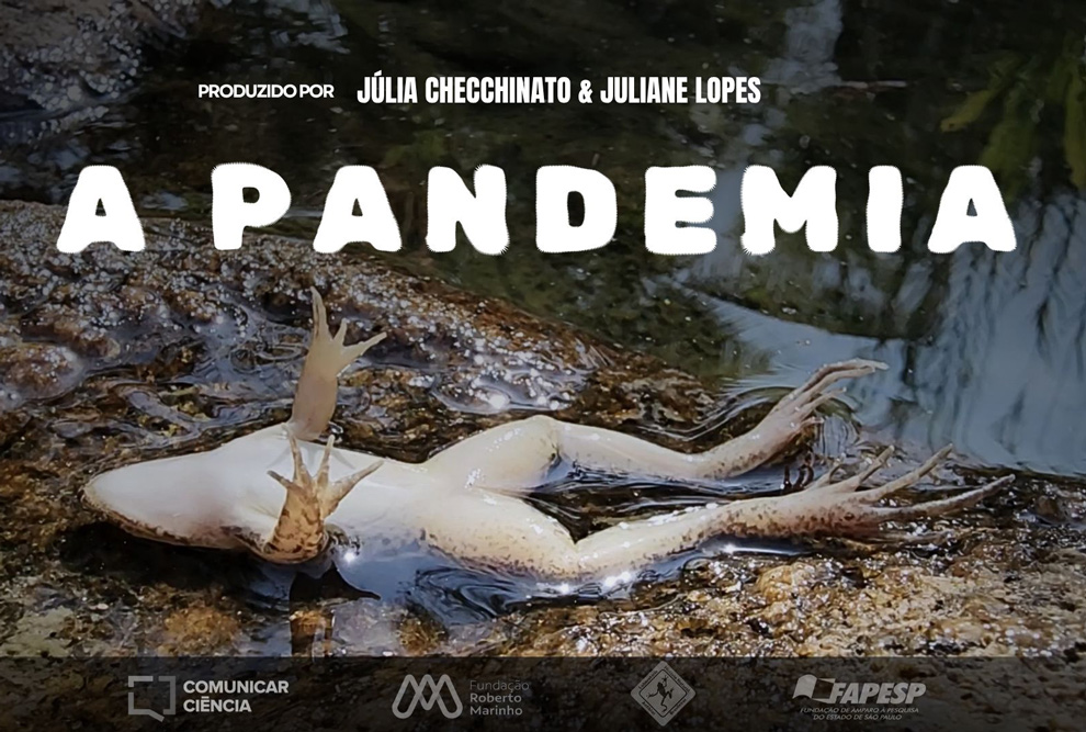 Os minidocumentários abordam as características do sapinho e se aprofundam nas ameaças enfrentadas atualmente pelos anfíbios