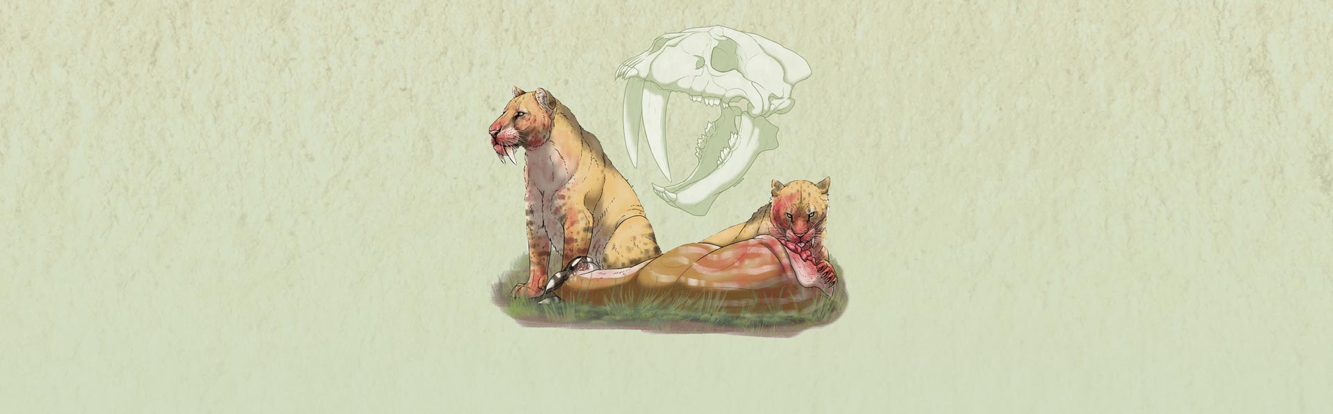 Man_tigre