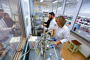 pesquisadora Mary Ann Foglio, docente da Faculdade de Ciências Farmacêuticas (FCF) da Unicamp.