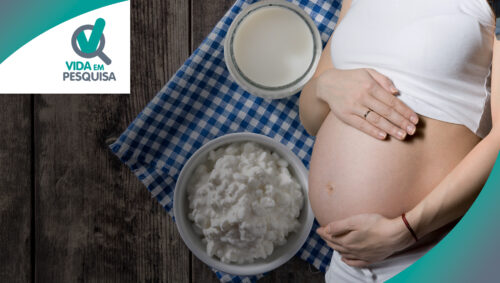 Pesquisadores testam kefir em gestantes com problemas intestinais