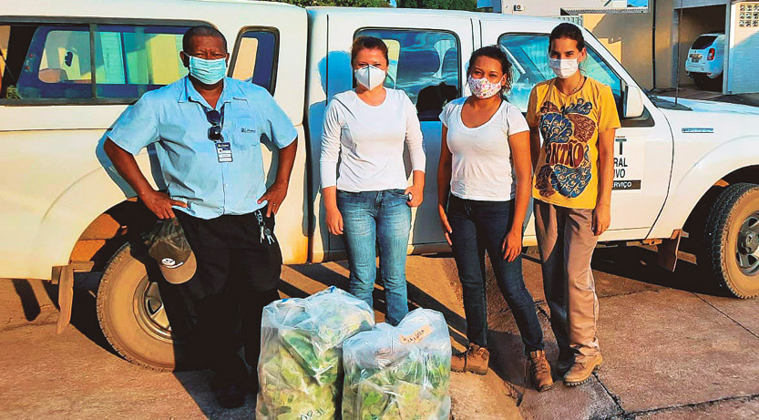 Sheyla Brito (terceira da esq. para a direita) com a equipe de coleta de folhas de oiti: foram encontrados valores elevados de mercúrio em regiões próximas às casas de compra de ouro