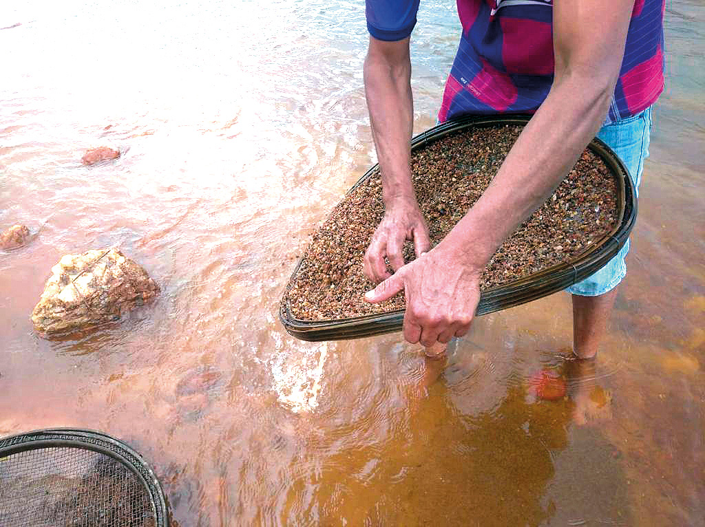 Pessoa em pé dentro de um rio raso, trajando bermuda jeans azul e camiseta listrada em rosa e azul. Seu rosto não aparece na foto. Ela segura uma peneira triangular cheia de cascalho e pedras pequenas, utilizada na garimpagem. A água marrom clara do rio cobre parcialmente seus pés.
