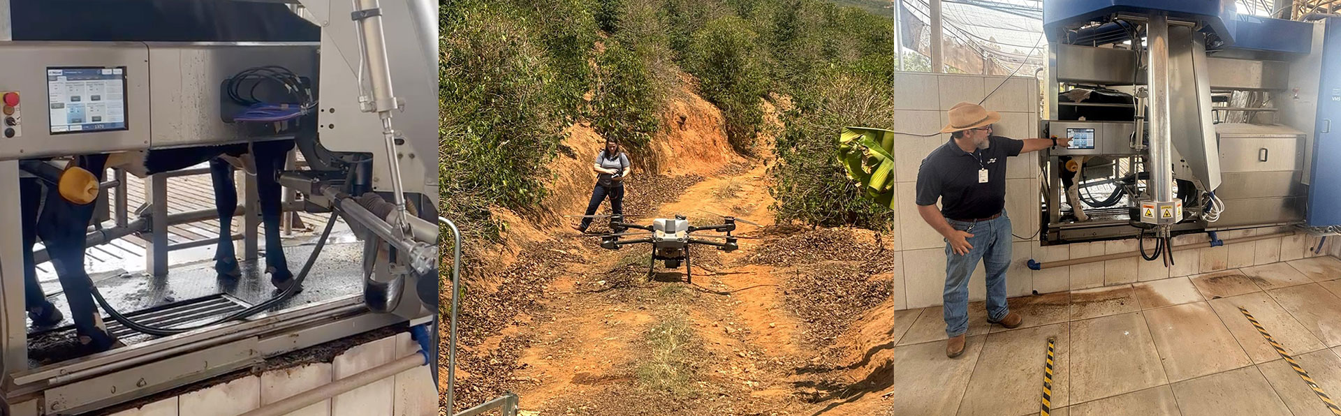 Unicamp e Embrapa sugerem ações para alavancar a modernização do campo