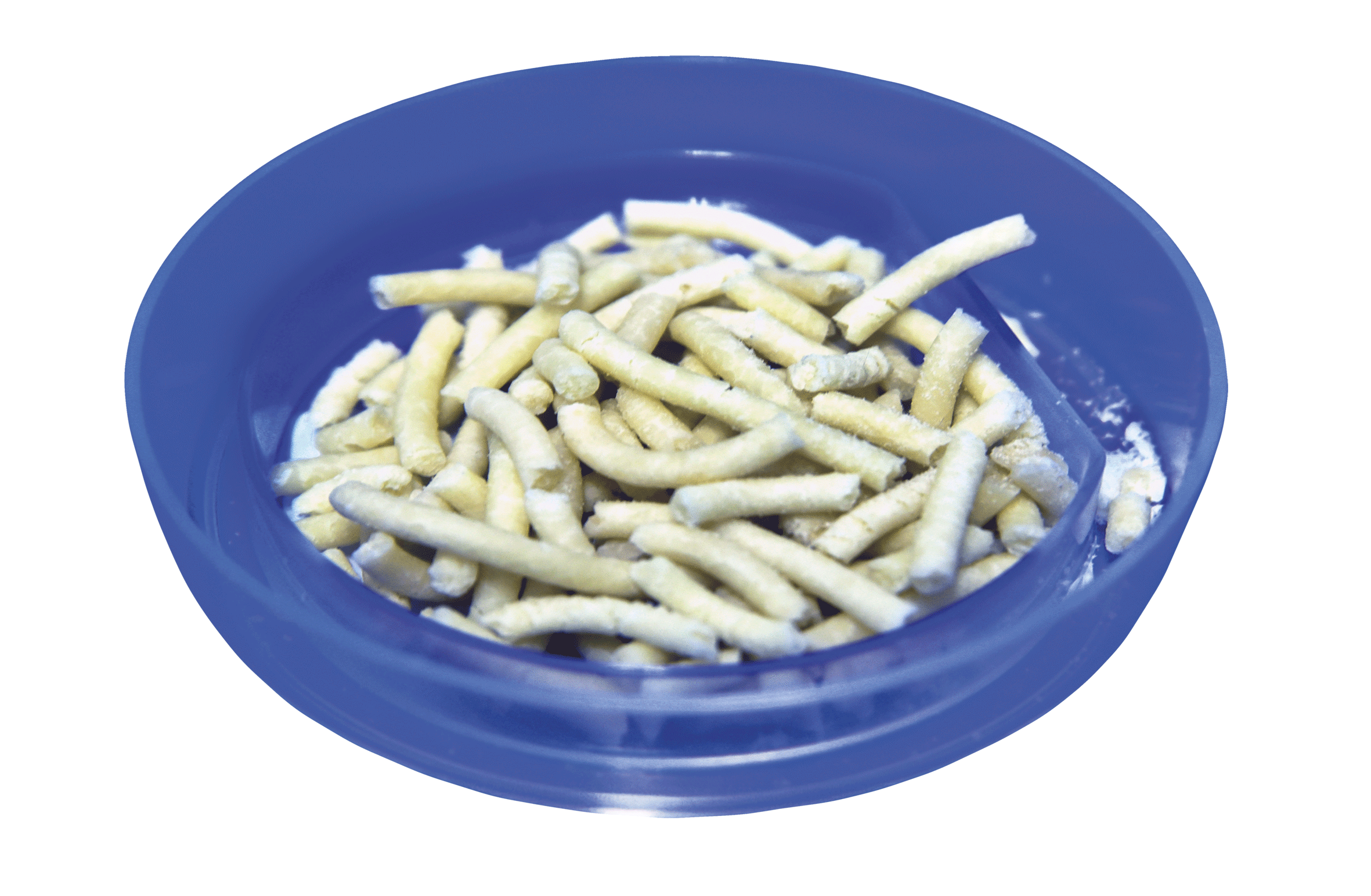 A imagem mostra um recipiente azul contendo vários bastonetes ou pellets de cor clara, com aparência semelhante a pequenos tubos cilíndricos. Esses itens parecem ser algum tipo de material processado, possivelmente usado em laboratório, alimentação animal ou experimento científico.