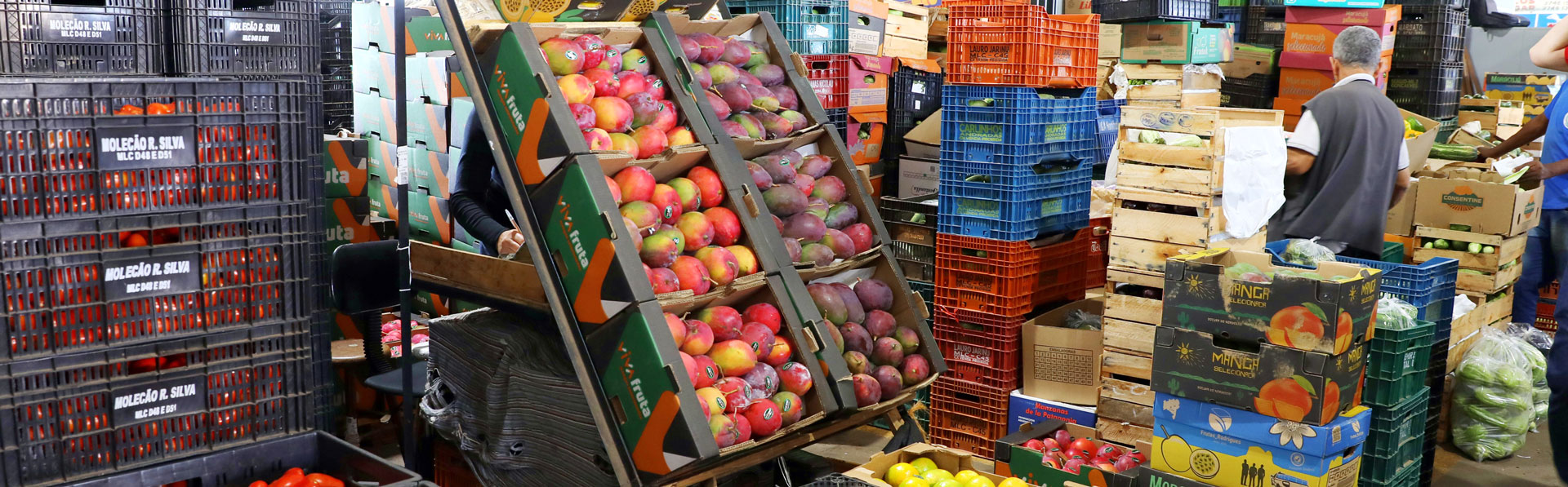 A imagem mostra um homem de meia-idade sentado à mesa, falando e gesticulando com as mãos. Ele tem barba grisalha, cabelo curto também grisalho e usa óculos de armação escura. Está vestido com uma camiseta preta e um relógio prateado. Diante dele há um caderno ou bloco de anotações e uma caneta. O ambiente parece ser um escritório, com paredes claras e armários ao fundo.