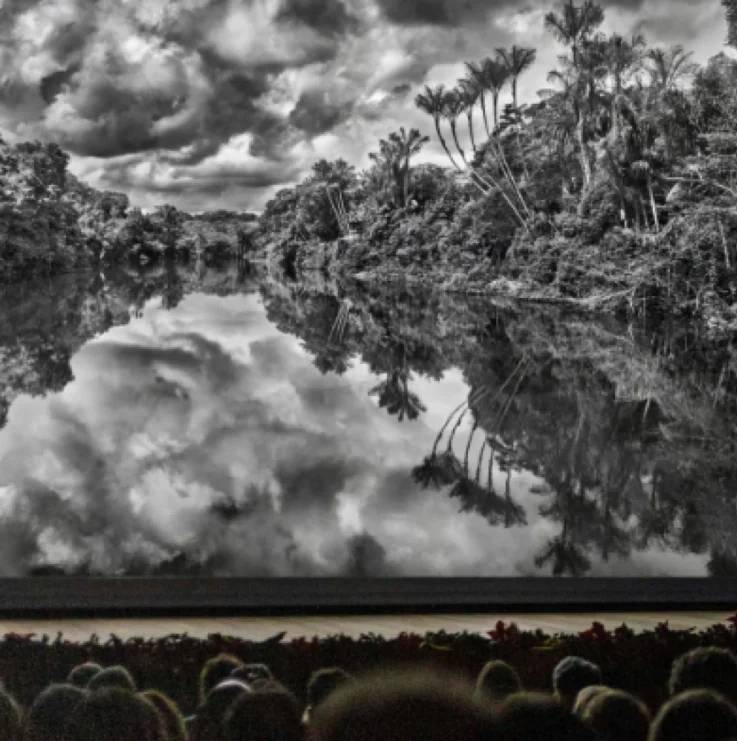 Atividades do “Festival Hercule Florence de Fotografia 2025” serão realizadas na Unicamp nos dias 6 e 7 de novembro