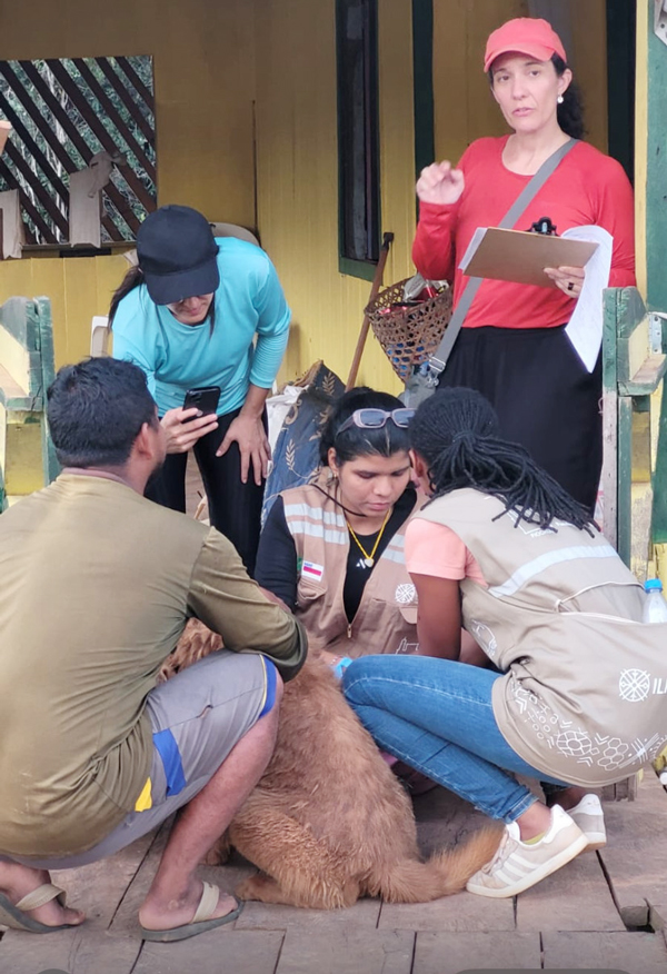 As análises das amostras são feitas de forma integrada, divididas entre a Fiocruz Amazônia, o Instituto Evandro Chagas e a Unicamp
