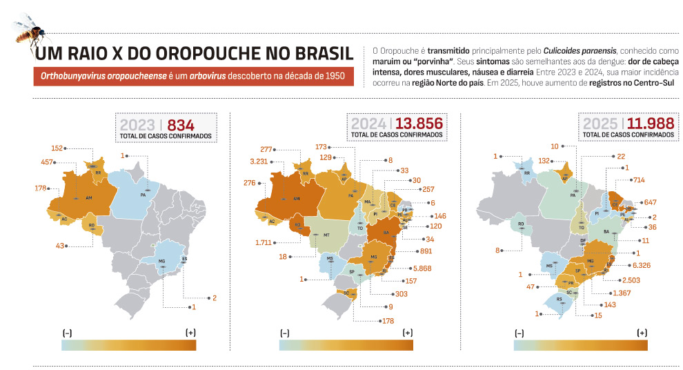 Este infográfico, intitulado "Um Raio X do Oropouche no Brasil", detalha a evolução epidemiológica da febre do Oropouche entre 2023 e 2025.Informações GeraisVírus: Orthobunyavirus oropoucheense, um arbovírus descoberto na década de 1950.Vetor: Transmitido principalmente pelo Culicoides paraensis, conhecido popularmente como maruim ou "porvinha".Sintomas: Semelhantes aos da dengue, incluindo dor de cabeça intensa, dores musculares, náusea e diarreia.Evolução dos Casos ConfirmadosO gráfico apresenta três mapas do Brasil, comparando a distribuição geográfica e o volume de casos:AnoTotal de CasosDestaque Regional2023834Concentração quase exclusiva na região Norte (Amazonas com 457 casos).202413.856Explosão de casos com disseminação para o Nordeste (Bahia com 891) e Sudeste (Minas Gerais com 5.868).202511.988Redução no Norte, mas aumento significativo no Centro-Sul (Minas Gerais com 6.326 e São Paulo com 2.503).Notas VisuaisEscala de Cor: Os mapas utilizam um degradê que vai do azul (menos casos) ao laranja escuro (mais casos).Fonte: Dados extraídos do Painel Epidemiológico do Ministério da Saúde.